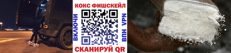 Cocaine FishScale  наркошоп  кракен ССЫЛКА  Ревда 