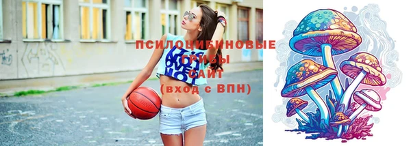 ALPHA PVP Куйбышев