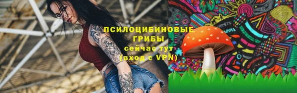 крисы Кукмор