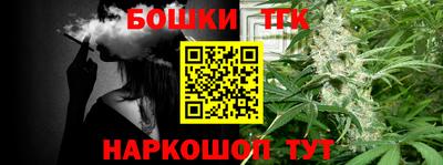 гашик Дубна