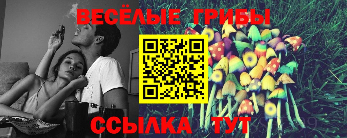 закладка  Галлюциногенные грибы Magic Shrooms  Вход с VPN  Ревда 
