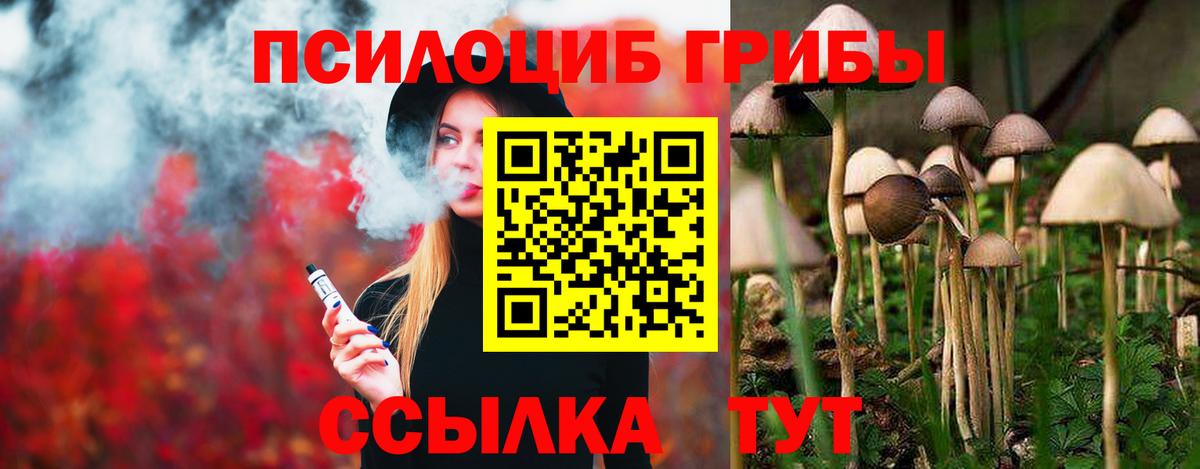 Псилоцибиновые грибы Psilocybe Ревда